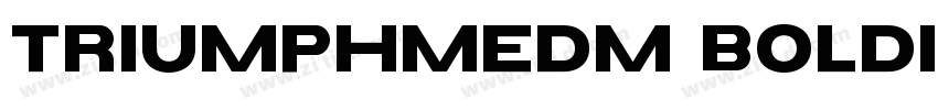 TriumphMedm BoldIta字体转换